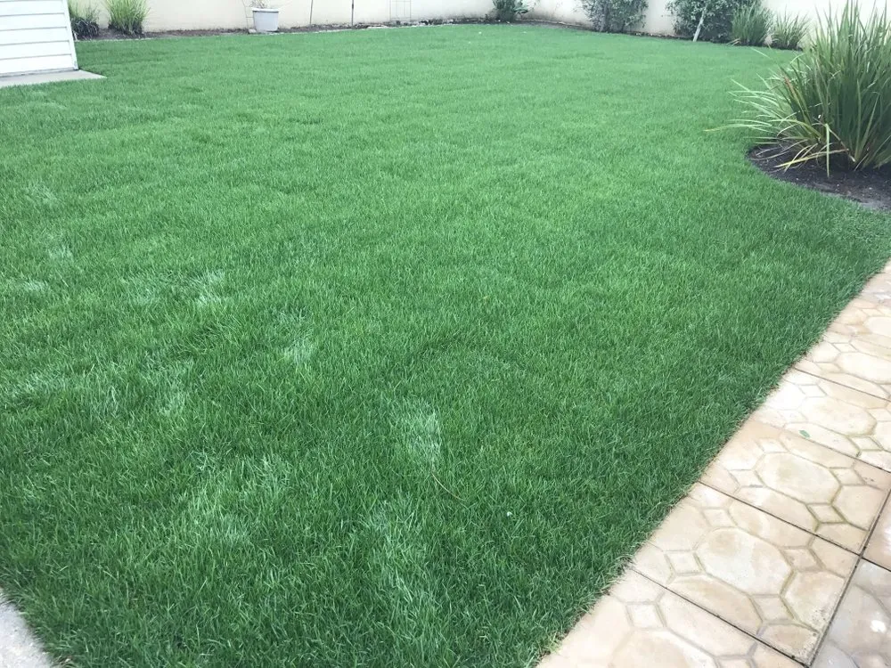 Local landscaping services in Long Beach, CA by Razo Landscaping