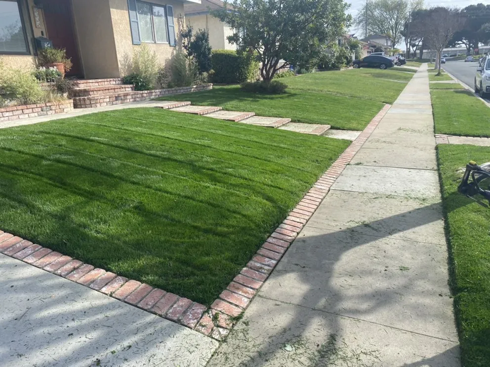 Trusted outdoor landscaping in Long Beach, CA by Razo Landscaping