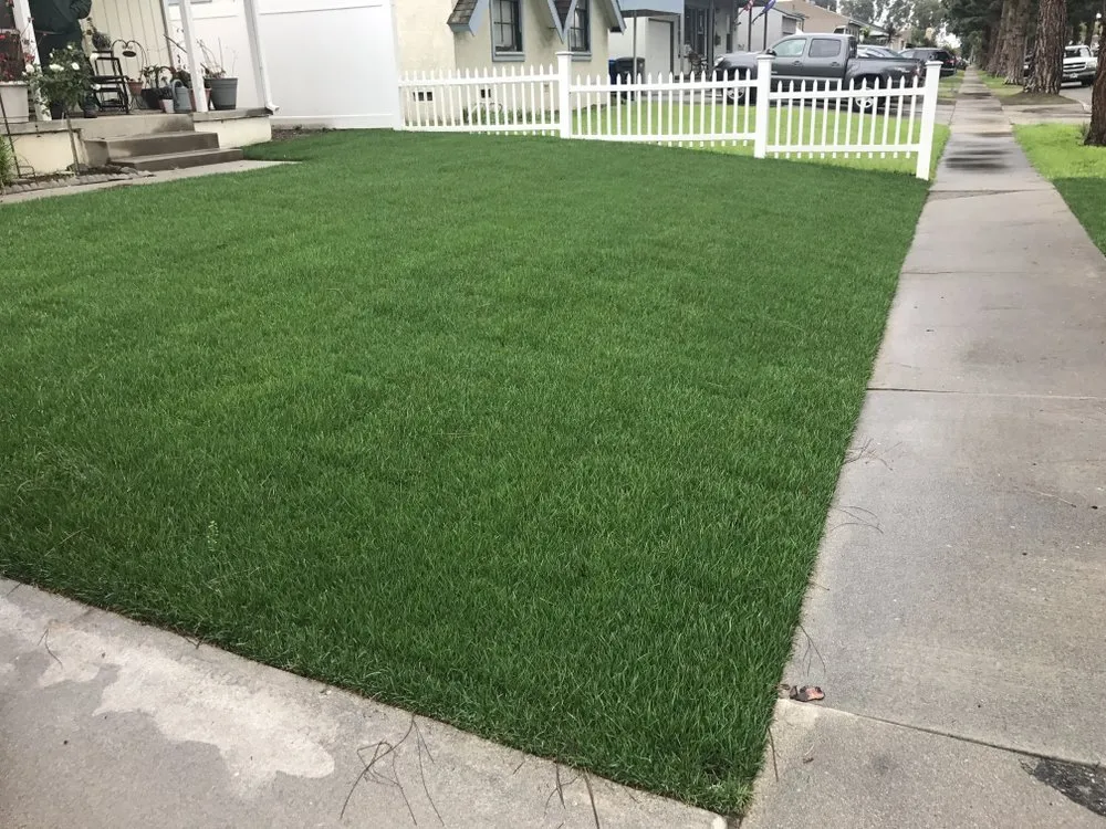 Professional garden landscaping experts serving Long Beach, CA - Razo Landscaping