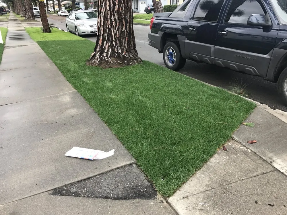 Expert landscape installation near you in Long Beach, CA by Razo Landscaping