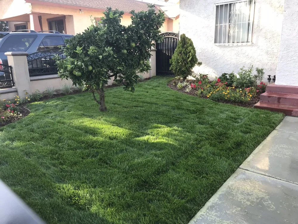 Custom landscape installation experts serving Long Beach, CA - Razo Landscaping