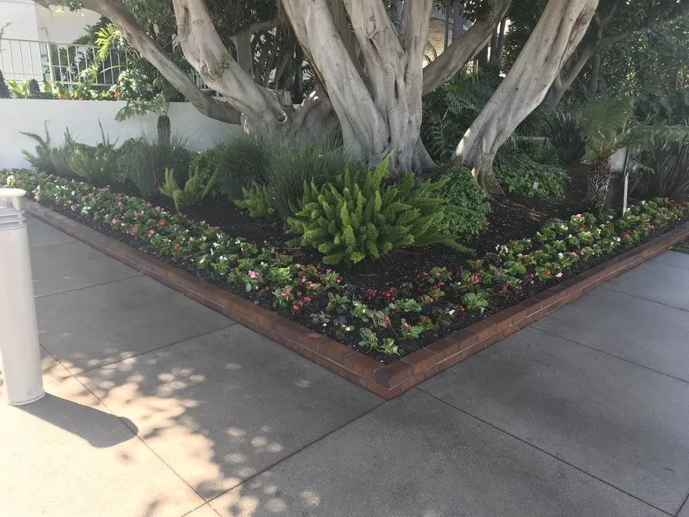 Expert garden landscaping in Long Beach, CA - Razo Landscaping