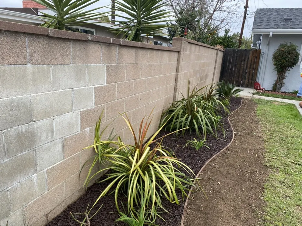 Trusted landscaping services experts serving Long Beach, CA - Razo Landscaping