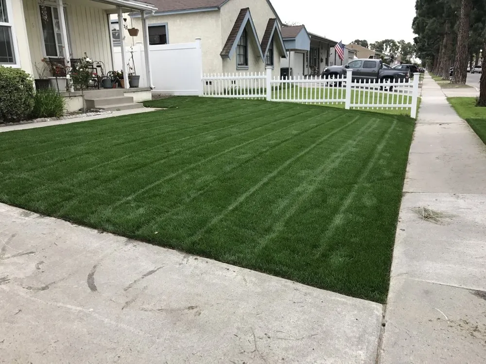 Local landscaping services in Long Beach, CA - Razo Landscaping