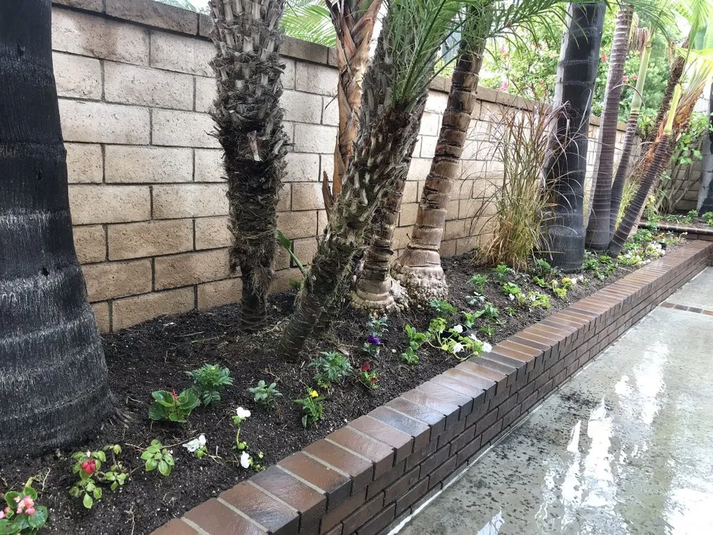 Professional outdoor landscaping in Long Beach, CA by Razo Landscaping