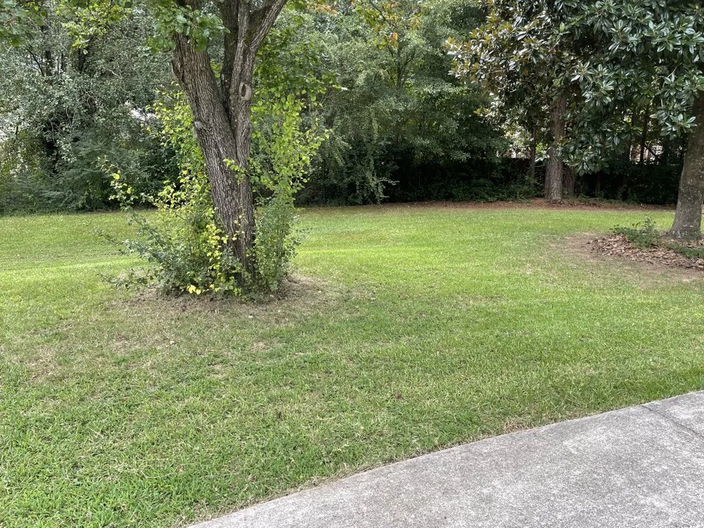 Local yard cleanup service in Stockbridge, GA - Razor Cutz Yard Barber