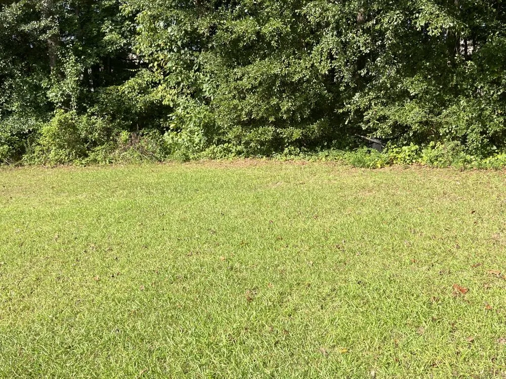 Professional yard cleanup service experts serving Stockbridge, GA - Razor Cutz Yard Barber