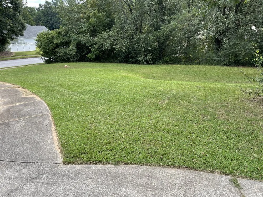 Professional yard cleanup service in Stockbridge, GA - Razor Cutz Yard Barber