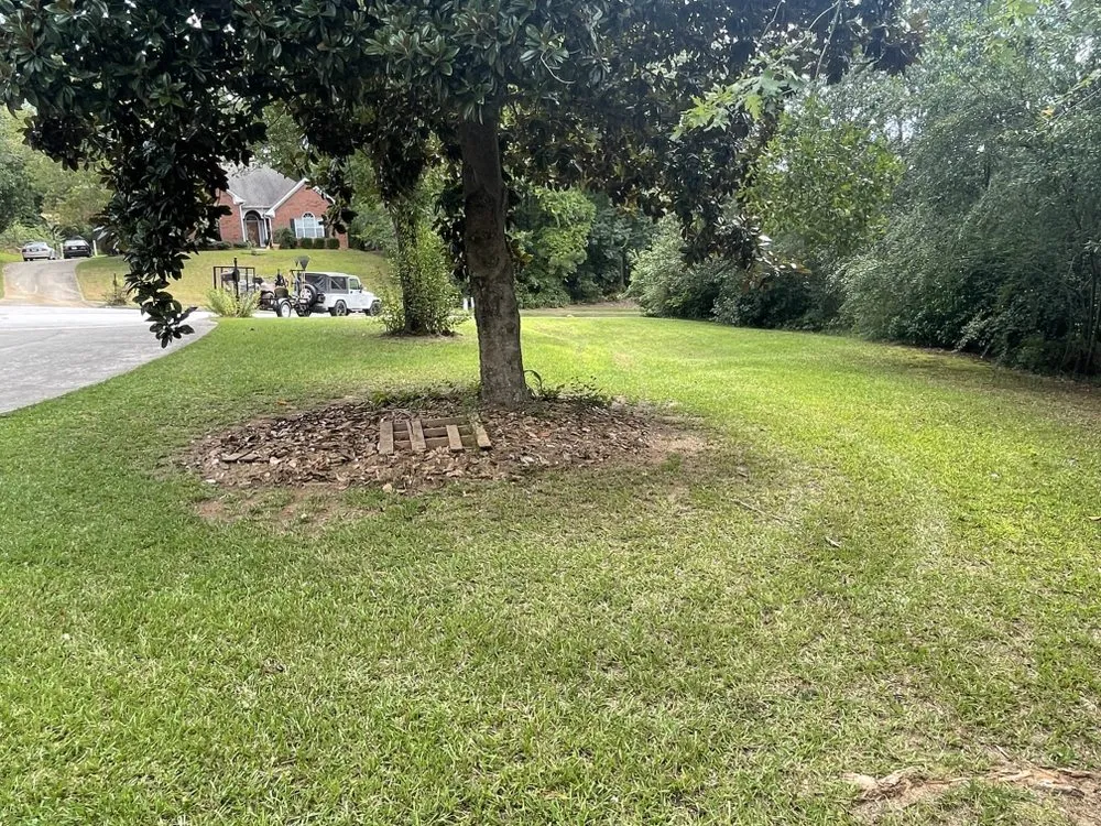 Professional lawn mowing service near you across Stockbridge, GA - Razor Cutz Yard Barber