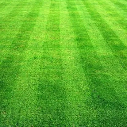 Custom lawn mowing service for outdoor upgrades in Lake Shore, MD by Razor Landscapes