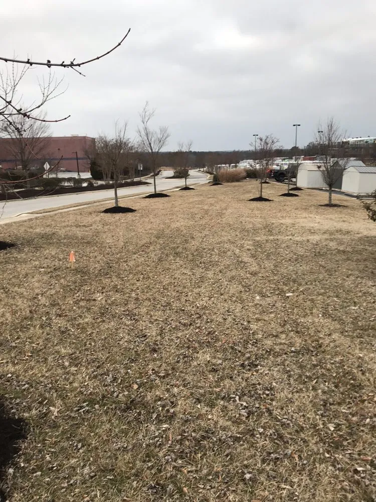 Affordable outdoor landscaping in Lake Shore, MD by Razor Landscapes