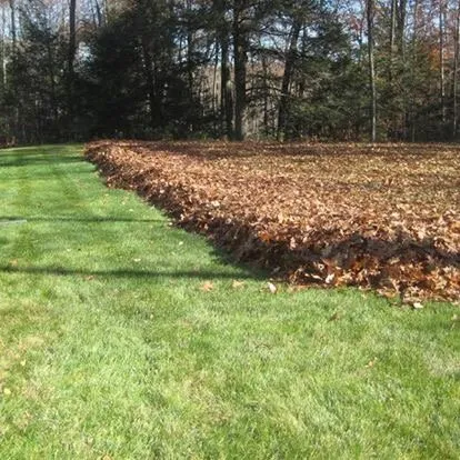 Custom yard maintenance for year-round maintenance across Lake Shore, MD - Razor Landscapes