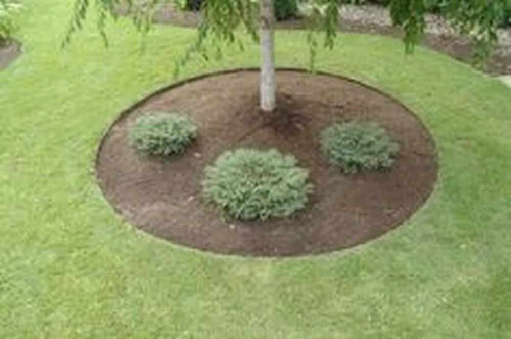 Professional garden landscaping experts serving Lake Shore, MD - Razor Landscapes