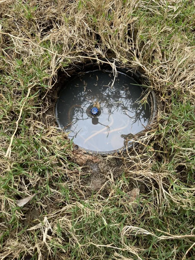 Expert outdoor landscaping experts serving Hoschton, GA - Razor Sharp Lawn and Landscape