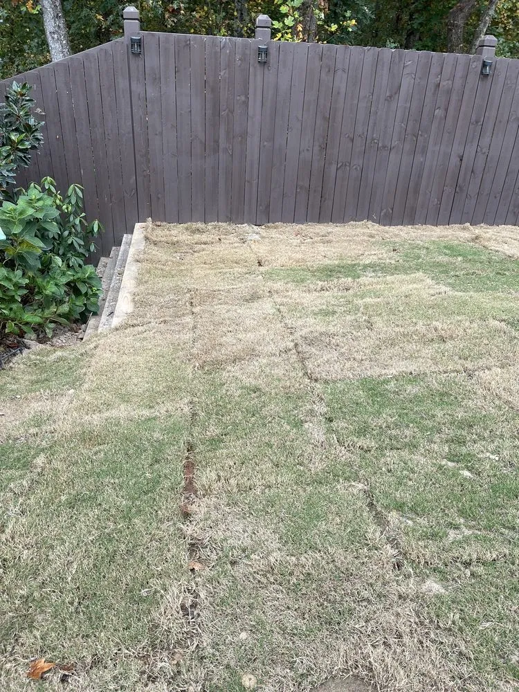Affordable yard cleanup service in Hoschton, GA - Razor Sharp Lawn and Landscape