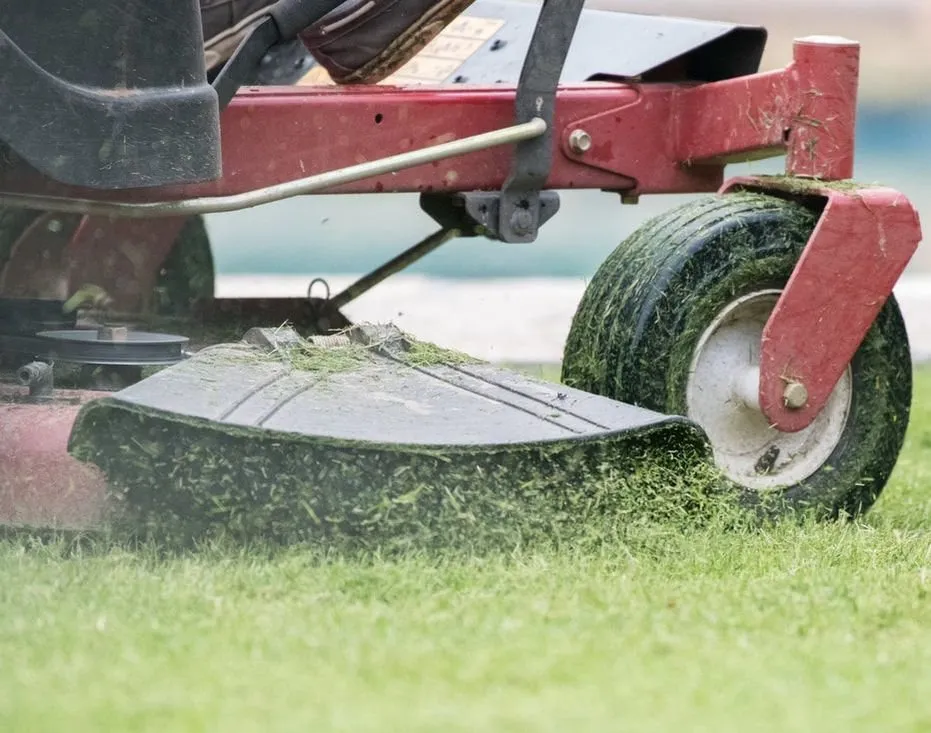 Local lawn care service for year-round maintenance in Hoschton, GA by Razor Sharp Lawn and Landscape