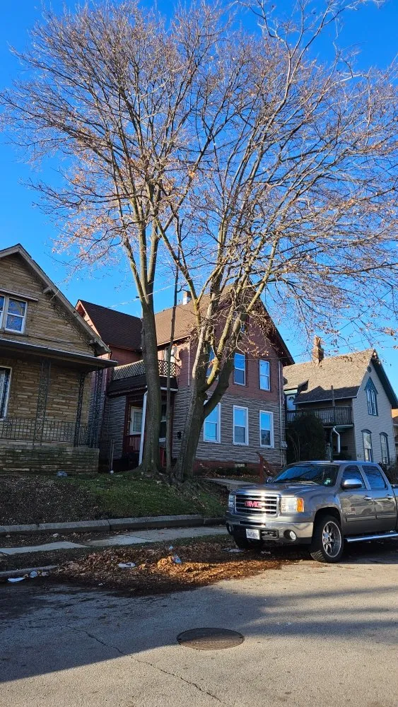 Professional landscape installation in Racine, WI - Razor Sharp Lawn Care And Tree Service