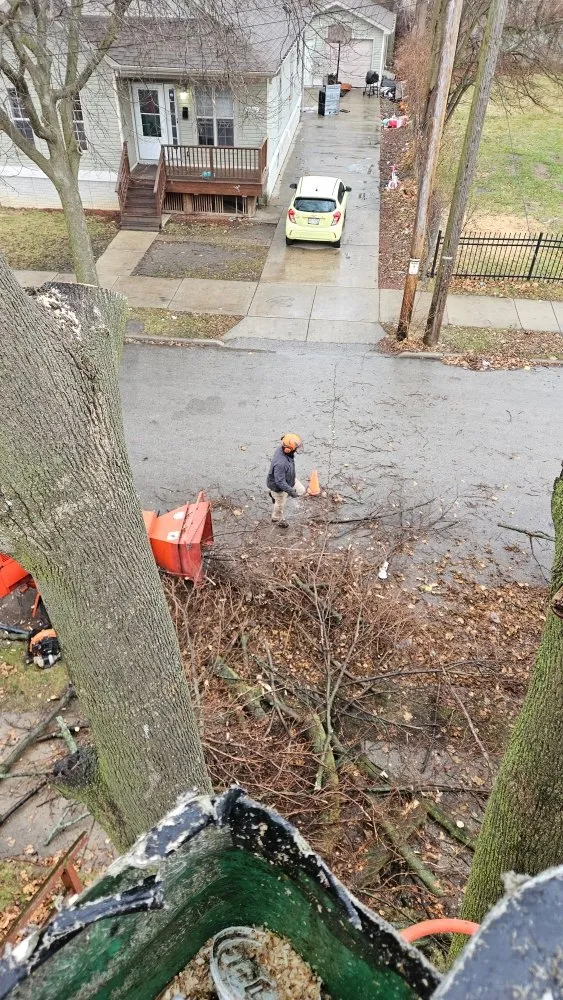 Affordable landscape installation near you across Racine, WI - Razor Sharp Lawn Care And Tree Service