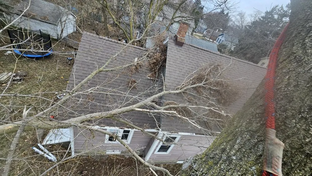 Affordable outdoor landscaping experts serving Racine, WI - Razor Sharp Lawn Care And Tree Service