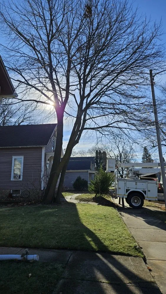 Expert yard maintenance in Racine, WI by Razor Sharp Lawn Care And Tree Service