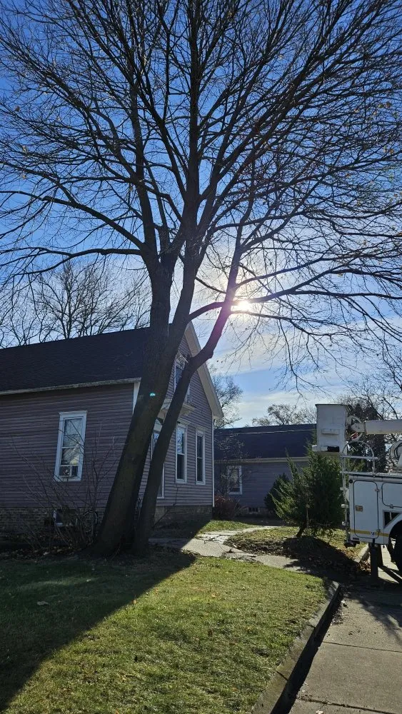 Top-rated lawn care service for beautiful yards across Racine, WI - Razor Sharp Lawn Care And Tree Service