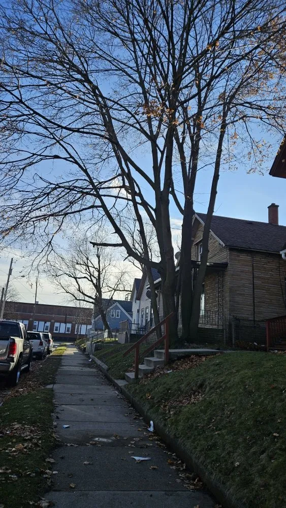 Expert outdoor landscaping in Racine, WI by Razor Sharp Lawn Care And Tree Service