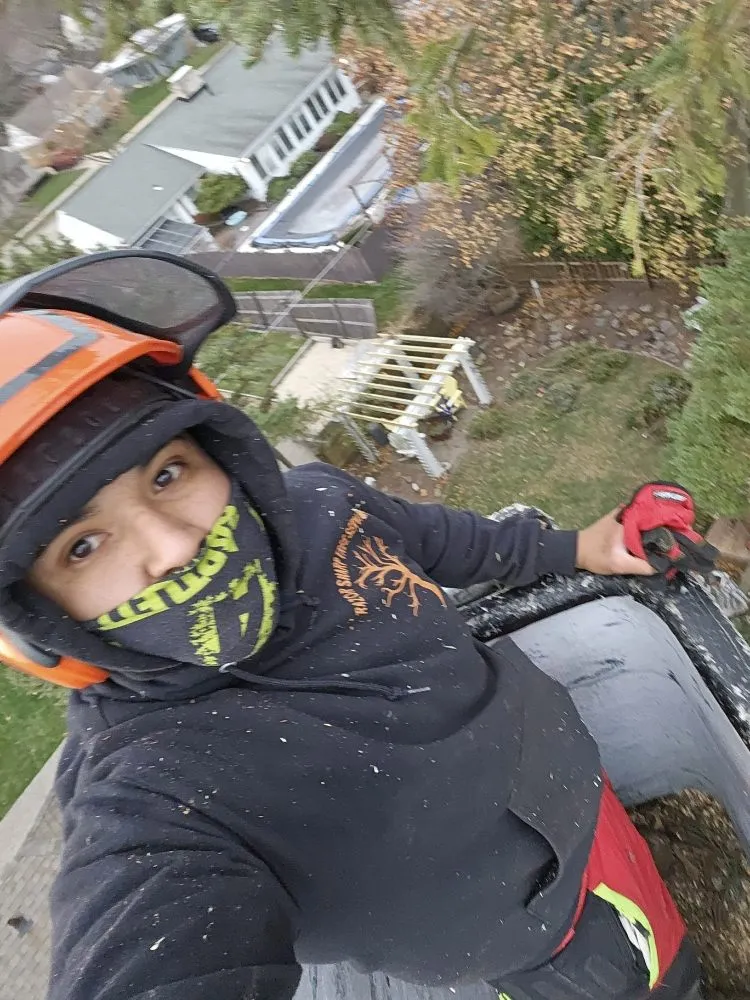 Professional lawn care service experts serving Racine, WI - Razor Sharp Lawn Care And Tree Service