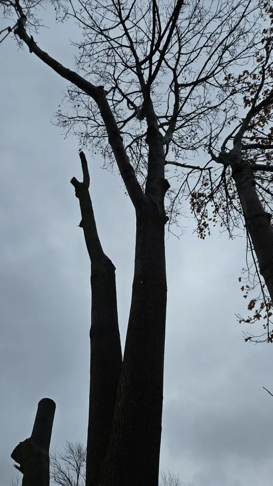 Top-rated lawn mowing service with custom design across Racine, WI - Razor Sharp Lawn Care And Tree Service