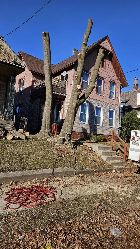 Custom yard maintenance in Racine, WI by Razor Sharp Lawn Care And Tree Service