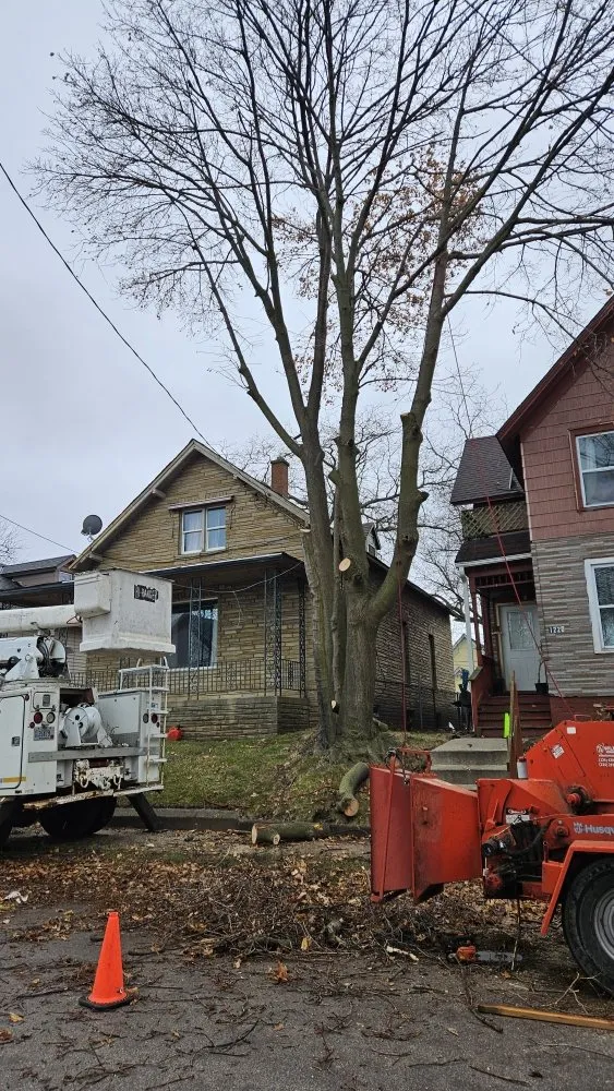 Affordable outdoor landscaping for beautiful yards in Racine, WI by Razor Sharp Lawn Care And Tree Service