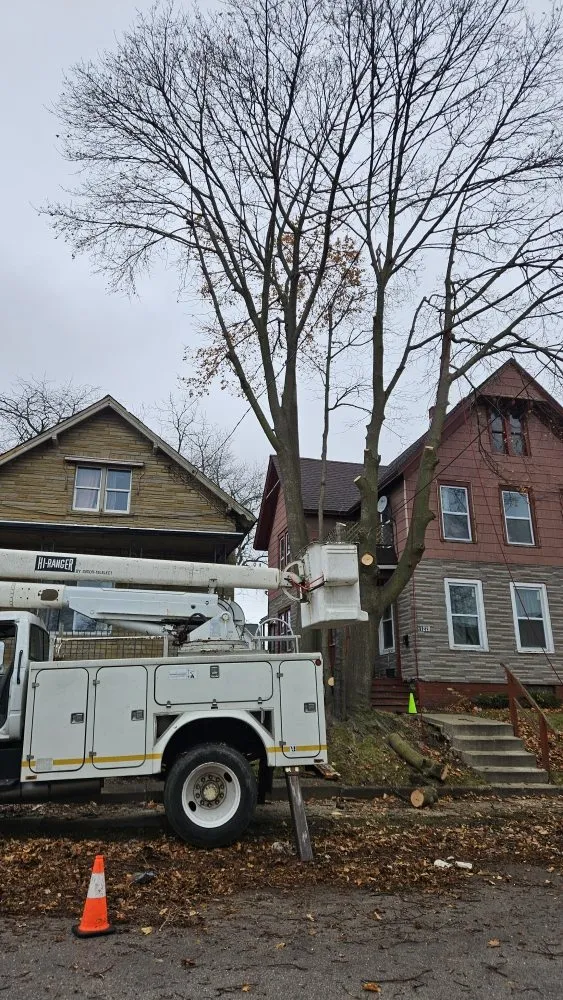 Expert landscaping services for beautiful yards in Racine, WI by Razor Sharp Lawn Care And Tree Service