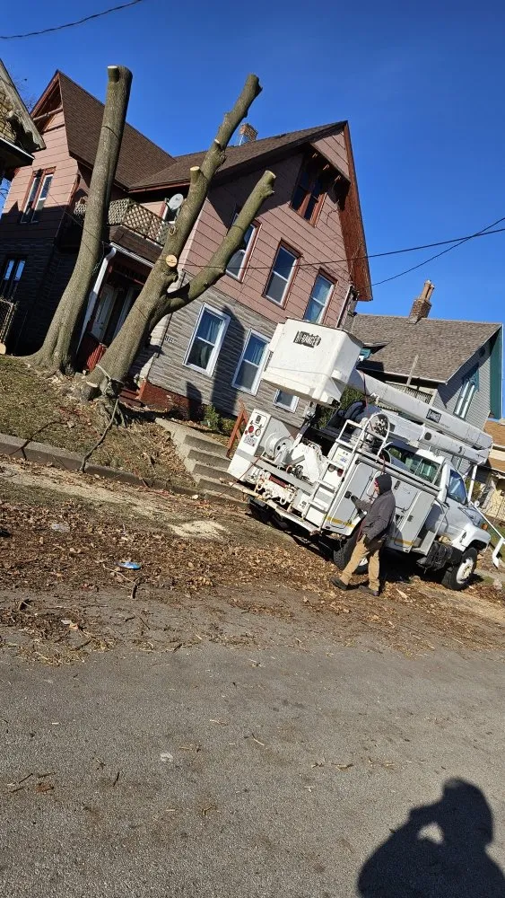 Professional residential landscaping in Racine, WI - Razor Sharp Lawn Care And Tree Service