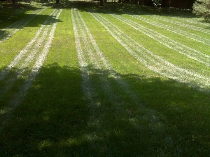 Affordable lawn care service in East Bridgewater, MA by Razor Sharp Lawn Care