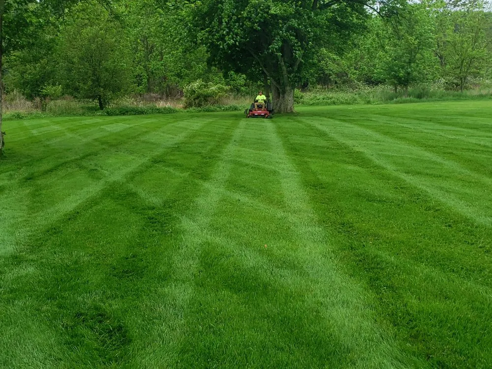 Trusted landscaping services in New Hope, PA - Razor Tree And Lawn Care
