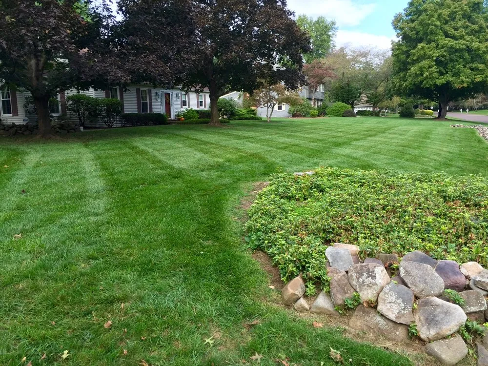 Local yard cleanup service for beautiful yards in New Hope, PA by Razor Tree And Lawn Care