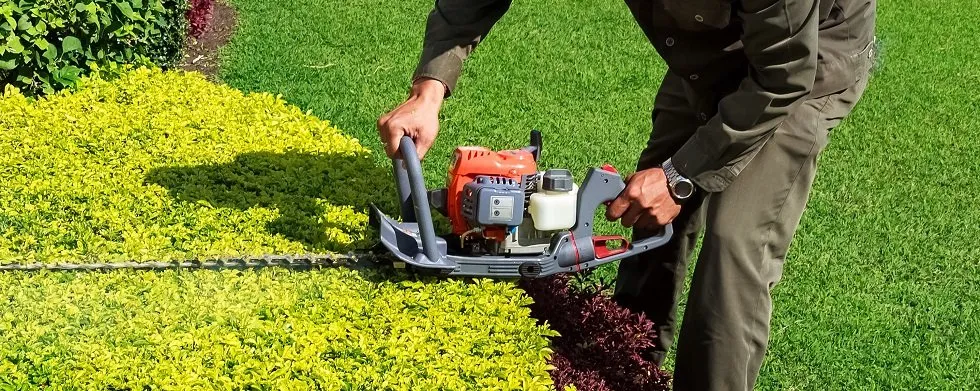 Affordable yard maintenance with custom design in Houston, TX by Razorgreen Lawn Services