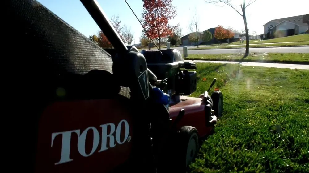 Local landscaping services in Houston, TX - Razorgreen Lawn Services