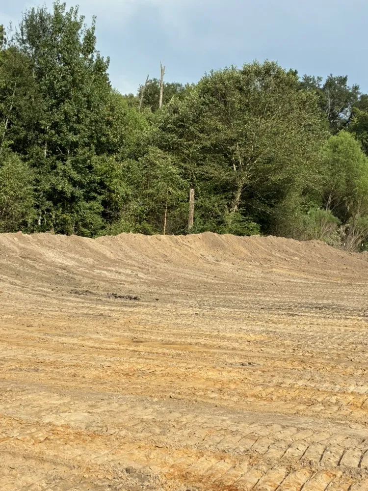 Local residential landscaping in Buffalo, TX by Razorline Concrete & Land Services