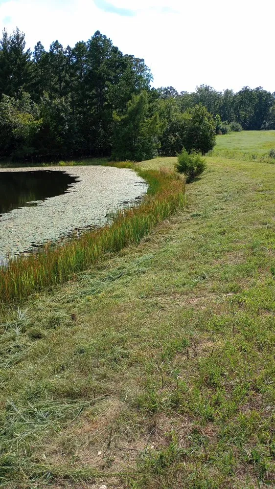 Trusted lawn mowing service experts serving Rolla, MO - Razor's Edge Construction