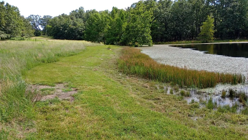 Local landscape design in Rolla, MO - Razor's Edge Construction