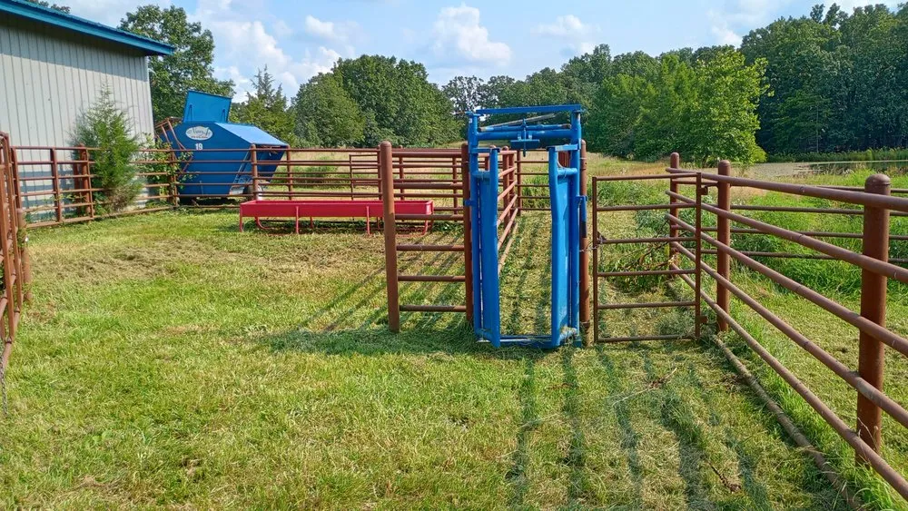Local yard cleanup service experts serving Rolla, MO - Razor's Edge Construction