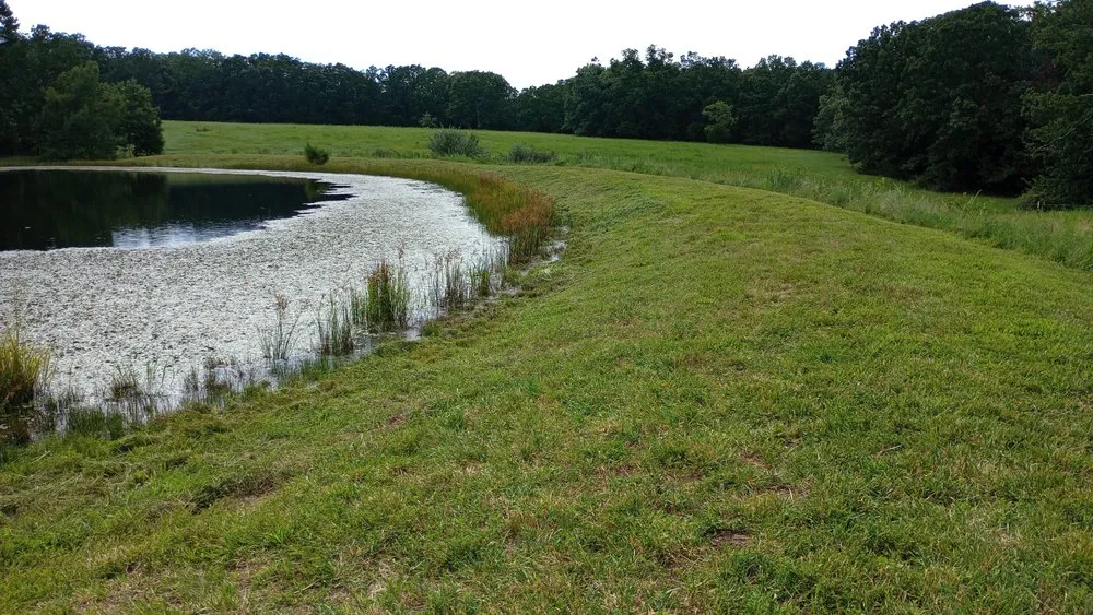 Top-rated yard maintenance near you in Rolla, MO by Razor's Edge Construction