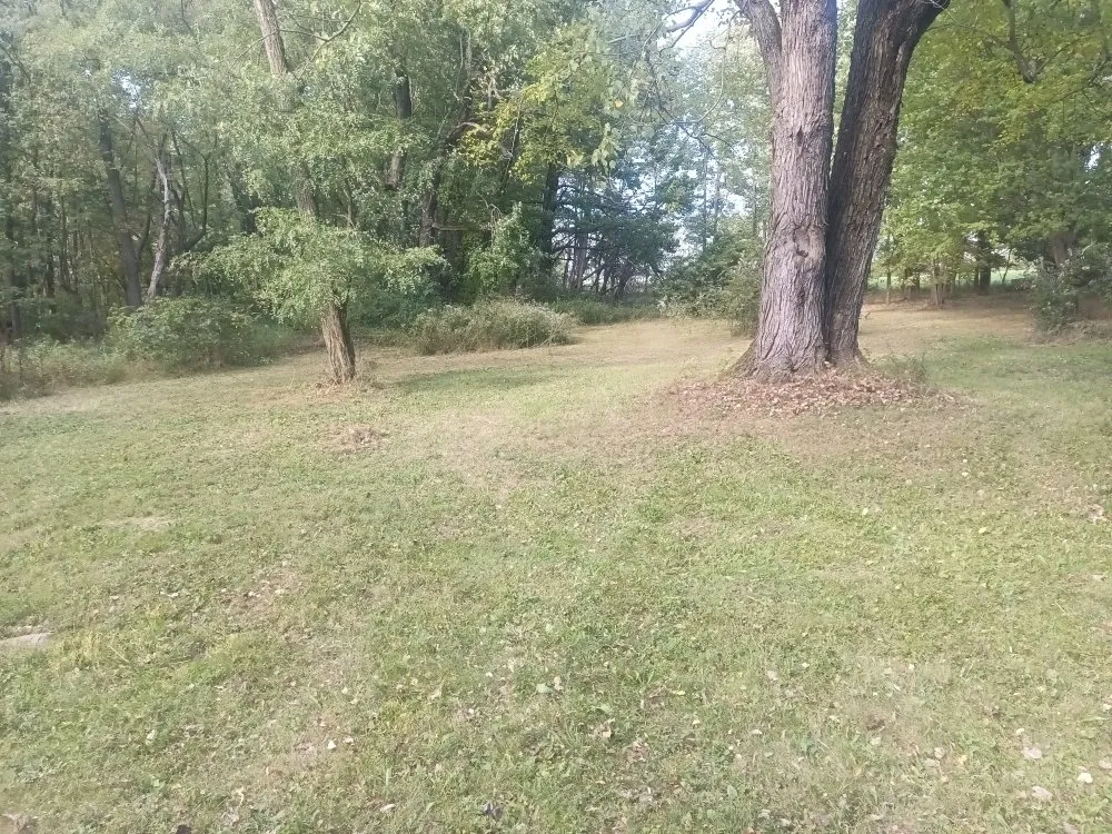 Local yard cleanup service in Sharon, PA - Razor's Edge Property Management