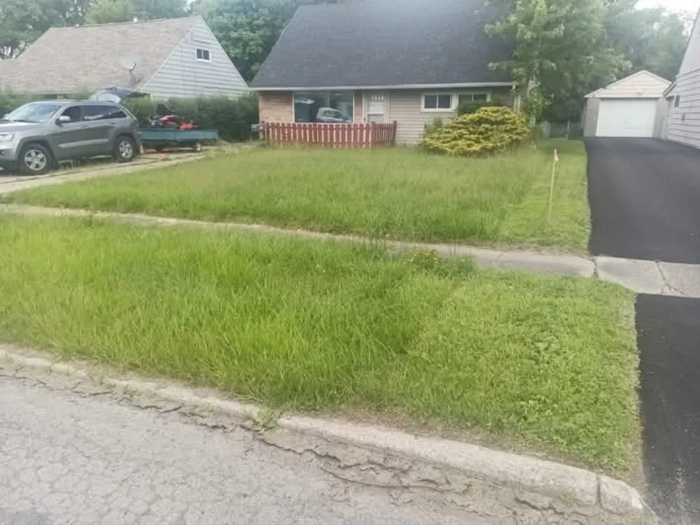 Top-rated yard cleanup service in Sharon, PA - Razor's Edge Property Management