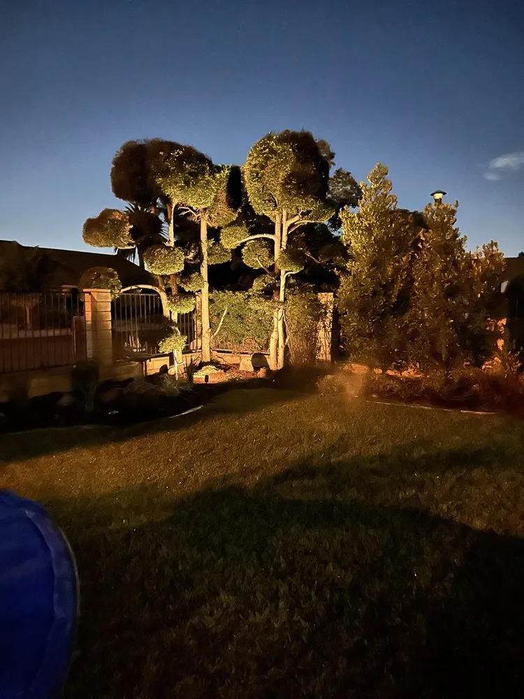 Top-rated lawn mowing service in Baldwin Park, CA by Razos Landscape & Maintenance