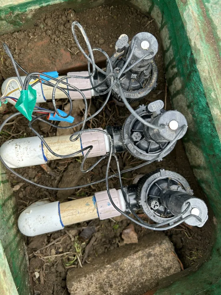 Top-rated residential landscaping experts serving Baldwin Park, CA - Razos Landscape & Maintenance