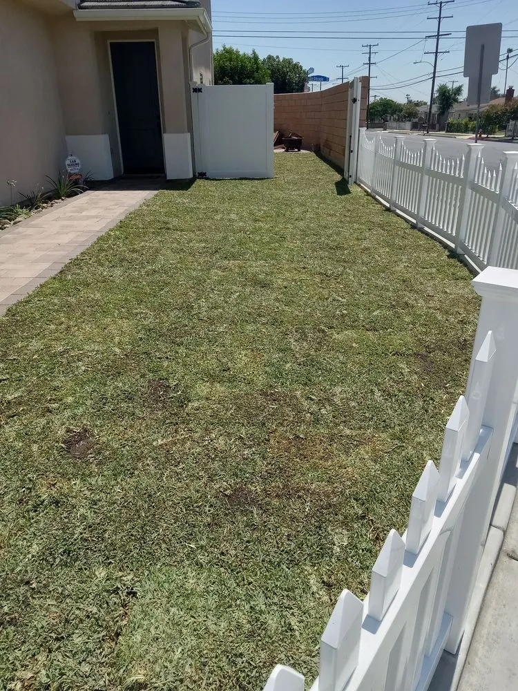 Top-rated landscape installation in Baldwin Park, CA by Razos Landscape & Maintenance