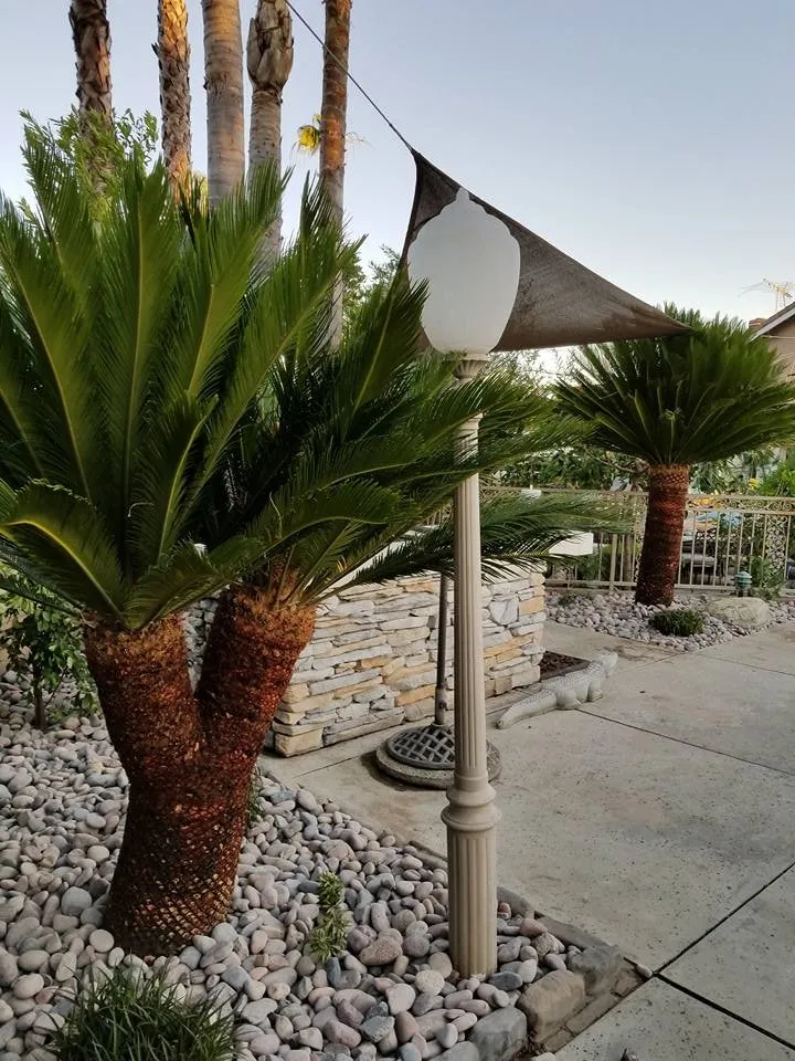 Affordable lawn care service experts serving Rialto, CA - Razo's Landscaping & Maintenance