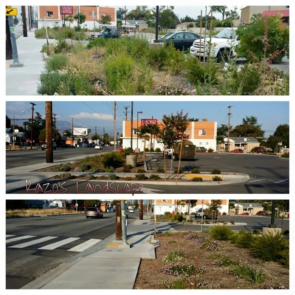 Professional landscape design in Rialto, CA - Razo's Landscaping & Maintenance