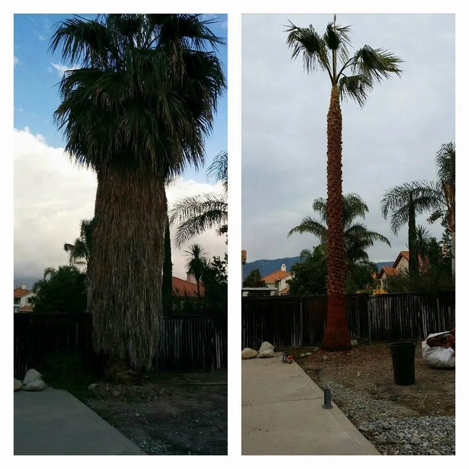 Expert lawn mowing service for homes across Rialto, CA - Razo's Landscaping & Maintenance